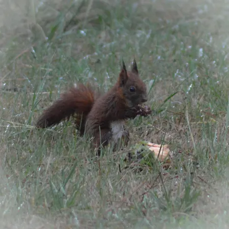 Des Landes De Boutoura 펜션 Pissos