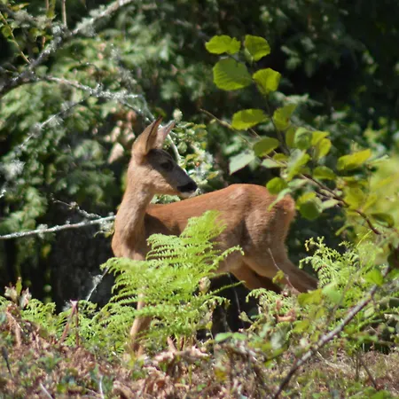 Des Landes De Boutoura
