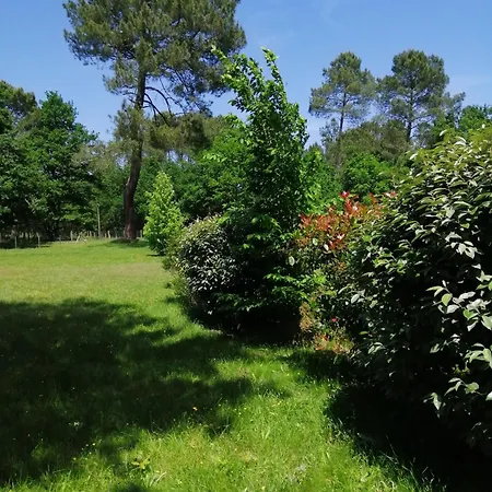 Des Landes De Boutoura 펜션 Pissos