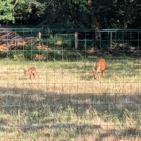 펜션 Des Landes De Boutoura