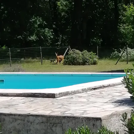 Prázdninový dům Des Landes De Boutoura Pissos